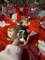 processed/7f2a1431-8d77-42cd-be46-3f59b6c86f29/listing/6f5141c3-e02e-4ddc-bdc2-8ae8cf2a000b/5f440042-8955-499c-b609-c7f746ac610c