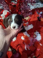 processed/7f2a1431-8d77-42cd-be46-3f59b6c86f29/listing/8ef0dada-0fbd-4fe7-9a85-fa7fdf43fd67/4bccc029-1035-4597-baf8-4e2a965eb134