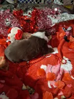 processed/7f2a1431-8d77-42cd-be46-3f59b6c86f29/listing/8ef0dada-0fbd-4fe7-9a85-fa7fdf43fd67/6b3755fc-085a-4dcc-8c56-b79af28b7308