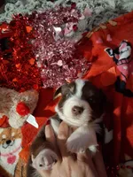 processed/7f2a1431-8d77-42cd-be46-3f59b6c86f29/listing/8ef0dada-0fbd-4fe7-9a85-fa7fdf43fd67/ccb92d1d-b485-4467-baae-8c5cac0e68f2