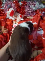 processed/7f2a1431-8d77-42cd-be46-3f59b6c86f29/listing/8ef0dada-0fbd-4fe7-9a85-fa7fdf43fd67/db0c6479-808a-471f-a7d9-da679d33fc90