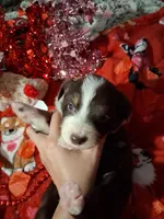 processed/7f2a1431-8d77-42cd-be46-3f59b6c86f29/listing/8ef0dada-0fbd-4fe7-9a85-fa7fdf43fd67/fcf8f3f2-bf98-4f55-a7a2-6639e9f23f9d