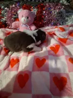 processed/7f2a1431-8d77-42cd-be46-3f59b6c86f29/listing/989d696e-6fb4-4102-98c1-86cc432009f6/1a6ac52b-89ea-4624-91db-ddf8747b2e2a