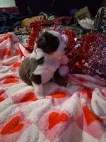 processed/7f2a1431-8d77-42cd-be46-3f59b6c86f29/listing/989d696e-6fb4-4102-98c1-86cc432009f6/3a328f41-87e7-4a75-9976-749343a0b238