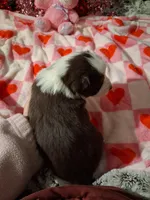 processed/7f2a1431-8d77-42cd-be46-3f59b6c86f29/listing/989d696e-6fb4-4102-98c1-86cc432009f6/4f007fe4-74cb-49a2-9208-cab11a048733