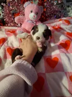 processed/7f2a1431-8d77-42cd-be46-3f59b6c86f29/listing/989d696e-6fb4-4102-98c1-86cc432009f6/bc800c8b-b724-481d-b741-ba279f46f06b