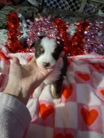 processed/7f2a1431-8d77-42cd-be46-3f59b6c86f29/listing/989d696e-6fb4-4102-98c1-86cc432009f6/d99f1b57-611f-4e90-b38c-ccaed81a3c16