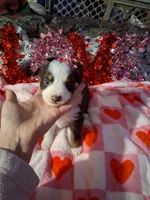 processed/7f2a1431-8d77-42cd-be46-3f59b6c86f29/listing/989d696e-6fb4-4102-98c1-86cc432009f6/e633c1df-57d4-4500-9eea-eabaed062f24