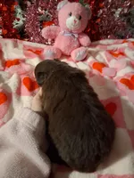 processed/7f2a1431-8d77-42cd-be46-3f59b6c86f29/listing/9cd45ca4-e08f-406f-85b2-1da8e03c7a38/04bb9087-8fa0-4466-8dbe-7009125354c7