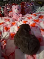 processed/7f2a1431-8d77-42cd-be46-3f59b6c86f29/listing/9cd45ca4-e08f-406f-85b2-1da8e03c7a38/26e9ccb1-3e90-45d2-9031-adea7cf30a89