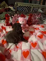 processed/7f2a1431-8d77-42cd-be46-3f59b6c86f29/listing/9cd45ca4-e08f-406f-85b2-1da8e03c7a38/de04f5c2-027e-40ab-b8a8-d48030826e84