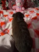 processed/7f2a1431-8d77-42cd-be46-3f59b6c86f29/listing/9cd45ca4-e08f-406f-85b2-1da8e03c7a38/ea6e9b3c-30b0-46e9-a230-0e51636be82e