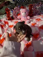 processed/7f2a1431-8d77-42cd-be46-3f59b6c86f29/listing/9cd45ca4-e08f-406f-85b2-1da8e03c7a38/f5811287-7c90-444f-a16b-25f50f0beac6