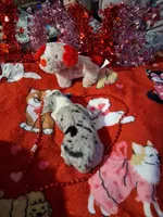 processed/7f2a1431-8d77-42cd-be46-3f59b6c86f29/listing/d729db87-f6b0-4b19-8055-3ffd99260643/31f63827-bd8a-4d79-9ad5-ec134451db87