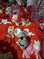 processed/7f2a1431-8d77-42cd-be46-3f59b6c86f29/listing/d729db87-f6b0-4b19-8055-3ffd99260643/328cb86e-7121-4b5e-9087-ec5fbad83fec