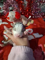 processed/7f2a1431-8d77-42cd-be46-3f59b6c86f29/listing/d729db87-f6b0-4b19-8055-3ffd99260643/46f432ba-c890-46d3-a297-f74ca47eee60