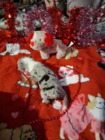 processed/7f2a1431-8d77-42cd-be46-3f59b6c86f29/listing/d729db87-f6b0-4b19-8055-3ffd99260643/93db0d45-39df-44e0-9d5a-40a029972f7a