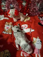 processed/7f2a1431-8d77-42cd-be46-3f59b6c86f29/listing/d729db87-f6b0-4b19-8055-3ffd99260643/a47d9ee3-59ef-4e84-9c0f-e09ca421f200