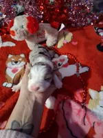 processed/7f2a1431-8d77-42cd-be46-3f59b6c86f29/listing/d729db87-f6b0-4b19-8055-3ffd99260643/cab26417-b777-49a3-a12a-fd8d622273b4