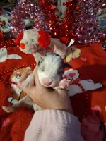 processed/7f2a1431-8d77-42cd-be46-3f59b6c86f29/listing/d729db87-f6b0-4b19-8055-3ffd99260643/e9a055db-2850-4906-9fae-369f504124d6