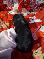 processed/7f2a1431-8d77-42cd-be46-3f59b6c86f29/listing/fbd94160-1333-468c-92b8-001944ed96ff/377cfef8-8621-45d8-a496-f69ba971dc25