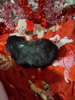 processed/7f2a1431-8d77-42cd-be46-3f59b6c86f29/listing/fbd94160-1333-468c-92b8-001944ed96ff/cb5cf53f-4d01-45de-9b1c-d09cc589669c