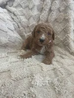 processed/7f2af3e8-44bc-4937-9292-5c0c1f60bf1a/listing/105967b5-62c5-445c-99a2-03a9a5f5f702/cdac95b6-0410-459a-9920-af8ba3785726