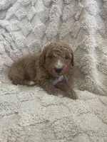 processed/7f2af3e8-44bc-4937-9292-5c0c1f60bf1a/listing/105967b5-62c5-445c-99a2-03a9a5f5f702/e891c581-f03e-4677-9fc2-a968953c387d