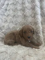 processed/7f2af3e8-44bc-4937-9292-5c0c1f60bf1a/listing/485b442a-7acf-4ecf-a981-8e858a594c17/a0a3e184-386b-4acf-805f-49f5a68d6974