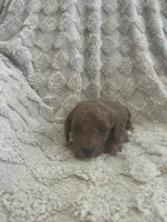 processed/7f2af3e8-44bc-4937-9292-5c0c1f60bf1a/listing/485b442a-7acf-4ecf-a981-8e858a594c17/d648f1d7-99e5-4ac2-8050-e23ac5c881f0