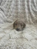 processed/7f2af3e8-44bc-4937-9292-5c0c1f60bf1a/listing/4a1dbc44-5e5e-4227-9983-3c581c3090fa/911845fa-b68c-496e-9a5d-0e28c3776fca