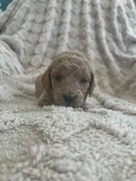 processed/7f2af3e8-44bc-4937-9292-5c0c1f60bf1a/listing/4a384db4-0fb9-4d32-8d2f-560b34c55980/07709be9-e315-44c3-a909-c9130018d3a8