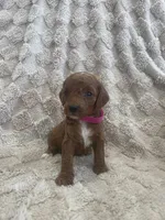 processed/7f2af3e8-44bc-4937-9292-5c0c1f60bf1a/listing/a765e91f-1e45-4e76-be61-034ad8b7171c/d2b76fcb-0c64-40e2-8ec2-e1fe3a8ebc43