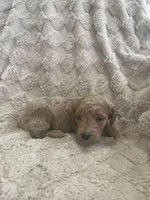 processed/7f2af3e8-44bc-4937-9292-5c0c1f60bf1a/listing/ad5a31db-3e07-400c-aadd-28fda3d1ced9/0442ae54-e32d-4ed7-99a0-6194b8ca6879