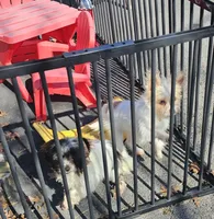 processed/7f439dc7-32e5-4b4c-b691-0dacbb7d05e0/listing/210e08cd-3e6a-4f4b-99dc-9cf78120ff30/248d6dd4-4504-4ef5-8e83-59d1fca71f84