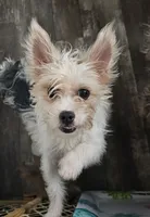 processed/7f439dc7-32e5-4b4c-b691-0dacbb7d05e0/listing/210e08cd-3e6a-4f4b-99dc-9cf78120ff30/5526ccfe-104c-4ea0-b2a1-a24ba5cc7c44