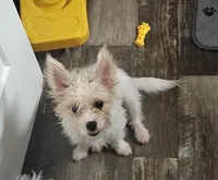 processed/7f439dc7-32e5-4b4c-b691-0dacbb7d05e0/listing/210e08cd-3e6a-4f4b-99dc-9cf78120ff30/85b22a77-e2a8-48f8-9214-e73d35493ad0