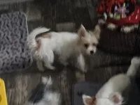 processed/7f439dc7-32e5-4b4c-b691-0dacbb7d05e0/listing/210e08cd-3e6a-4f4b-99dc-9cf78120ff30/d8ad6be4-d688-40cd-877a-3515866ee843