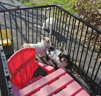 processed/7f439dc7-32e5-4b4c-b691-0dacbb7d05e0/listing/210e08cd-3e6a-4f4b-99dc-9cf78120ff30/e28d5aec-6fd1-4ac2-976f-095e4073ada8