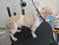 processed/7f439dc7-32e5-4b4c-b691-0dacbb7d05e0/listing/be141b0d-0a95-4856-9038-30284c050cf4/177882f1-5c04-4209-b29c-50e1fa92071c