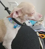 processed/7f439dc7-32e5-4b4c-b691-0dacbb7d05e0/listing/be141b0d-0a95-4856-9038-30284c050cf4/501375c8-51f8-495a-be47-ba70f65a071e