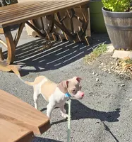 processed/7f439dc7-32e5-4b4c-b691-0dacbb7d05e0/listing/be141b0d-0a95-4856-9038-30284c050cf4/7e27f8f0-12c1-4b92-9bd1-9056a1754eb6