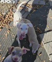 processed/7f439dc7-32e5-4b4c-b691-0dacbb7d05e0/listing/be141b0d-0a95-4856-9038-30284c050cf4/a75eab84-ed46-400f-9b8d-a427b964f009