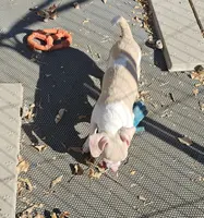 processed/7f439dc7-32e5-4b4c-b691-0dacbb7d05e0/listing/be141b0d-0a95-4856-9038-30284c050cf4/e924f08e-c354-4fc2-b026-ef6f571234e0