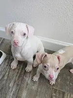 processed/7f439dc7-32e5-4b4c-b691-0dacbb7d05e0/listing/c5643fb7-8c28-444a-8438-91a513e5afca/06cc6489-7be2-4787-b499-29481f584ff2