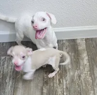 processed/7f439dc7-32e5-4b4c-b691-0dacbb7d05e0/listing/c5643fb7-8c28-444a-8438-91a513e5afca/0a662182-4b7c-46d1-84f4-1644737230a6