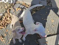 processed/7f439dc7-32e5-4b4c-b691-0dacbb7d05e0/listing/c5643fb7-8c28-444a-8438-91a513e5afca/12597738-448e-494e-b23c-db049332c7f1