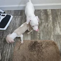 processed/7f439dc7-32e5-4b4c-b691-0dacbb7d05e0/listing/c5643fb7-8c28-444a-8438-91a513e5afca/7ee09d97-5e1d-4582-a51d-75258c073f33