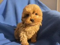 processed/7f459de2-3cf1-4a3f-8e8a-6ad81be9533d/listing/07652276-b448-47ef-992a-828041faf993/389e3442-d30c-47ae-adaf-e160b9793f71