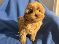 processed/7f459de2-3cf1-4a3f-8e8a-6ad81be9533d/listing/07652276-b448-47ef-992a-828041faf993/6b044b1e-cbe2-4d49-93b5-209d29caf46b